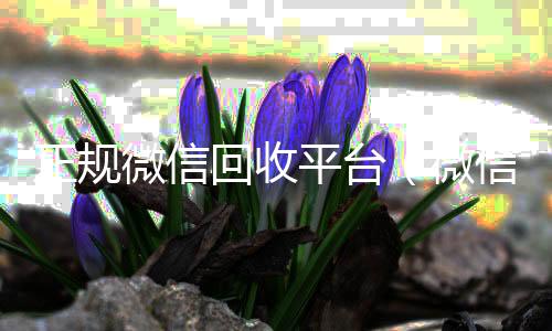 正规微信回收长期收购微信号平台（微信回收正规官网）